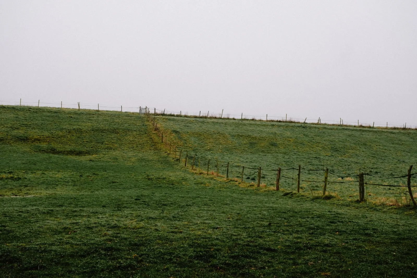 Calm rural scene featuring a green pasture and wooden fence under a cloudy sky.